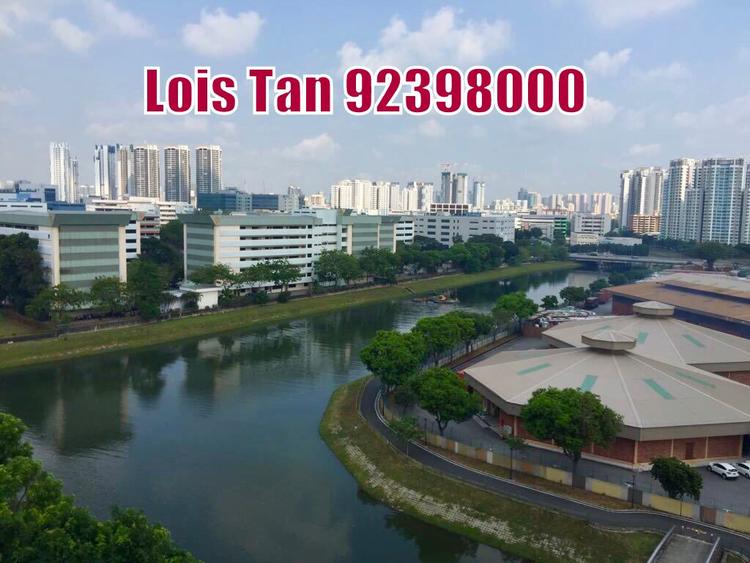 Blk 14A Upper Boon Keng Road (Kallang/Whampoa), HDB 5 Rooms #156649382